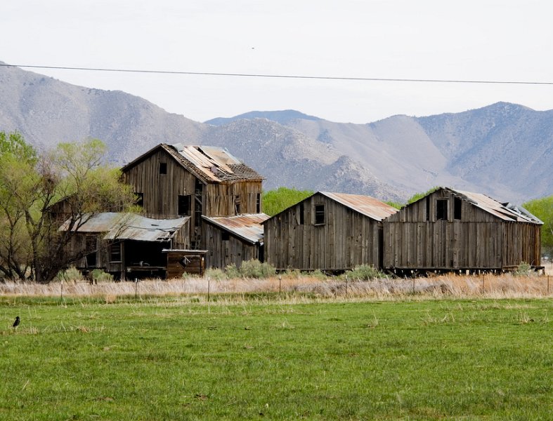 15 Barns